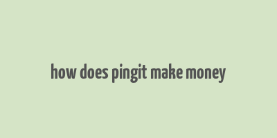 how does pingit make money