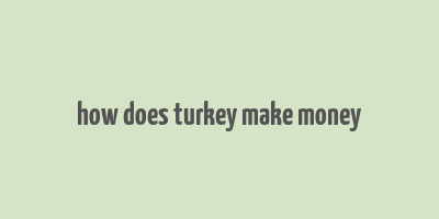 how does turkey make money