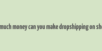 how much money can you make dropshipping on shopify