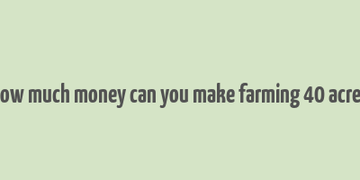 how much money can you make farming 40 acres