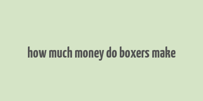 how much money do boxers make