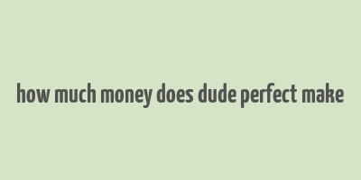 how much money does dude perfect make