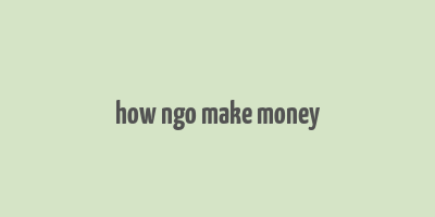 how ngo make money