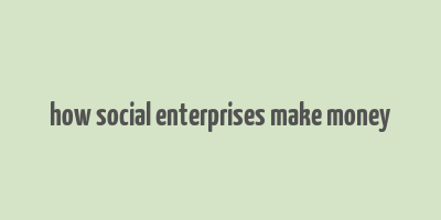 how social enterprises make money