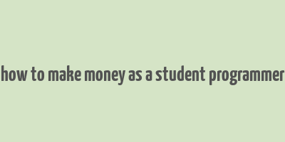 how to make money as a student programmer