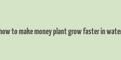 how to make money plant grow faster in water