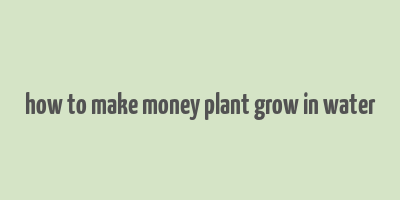 how to make money plant grow in water