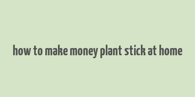 how to make money plant stick at home