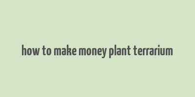 how to make money plant terrarium