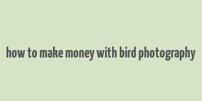 how to make money with bird photography