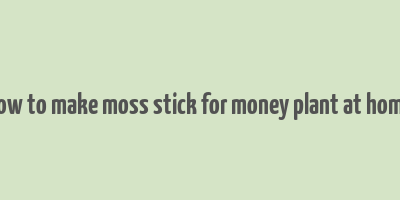 how to make moss stick for money plant at home