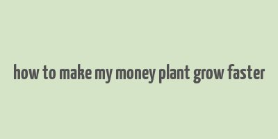 how to make my money plant grow faster