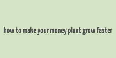 how to make your money plant grow faster