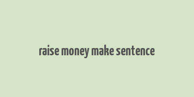 raise money make sentence