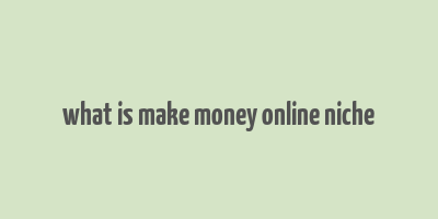 what is make money online niche