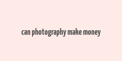 can photography make money