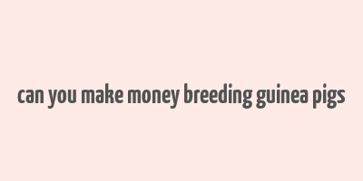 can you make money breeding guinea pigs