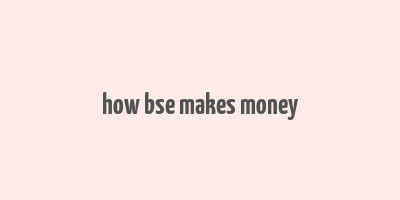 how bse makes money