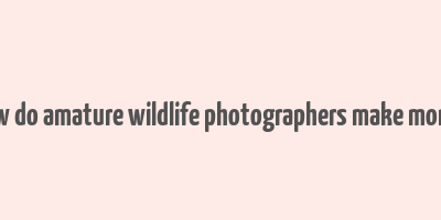 how do amature wildlife photographers make money