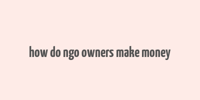 how do ngo owners make money