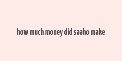 how much money did saaho make