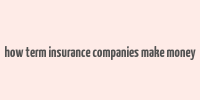 how term insurance companies make money