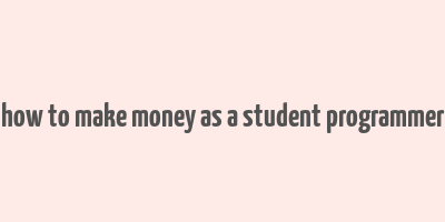 how to make money as a student programmer