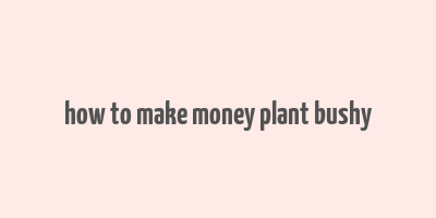 how to make money plant bushy