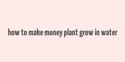 how to make money plant grow in water