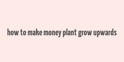 how to make money plant grow upwards