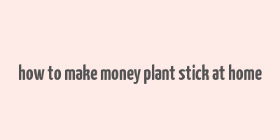 how to make money plant stick at home