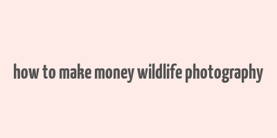 how to make money wildlife photography