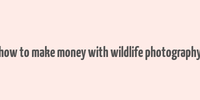 how to make money with wildlife photography