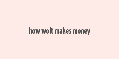 how wolt makes money