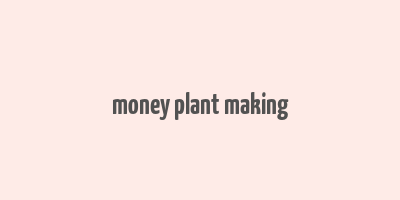 money plant making