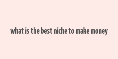 what is the best niche to make money