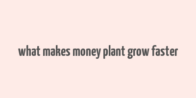 what makes money plant grow faster