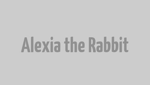 Alexia the Rabbit