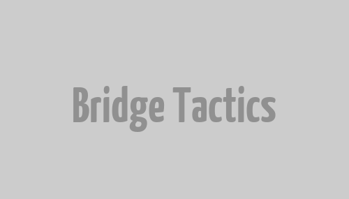 Bridge Tactics