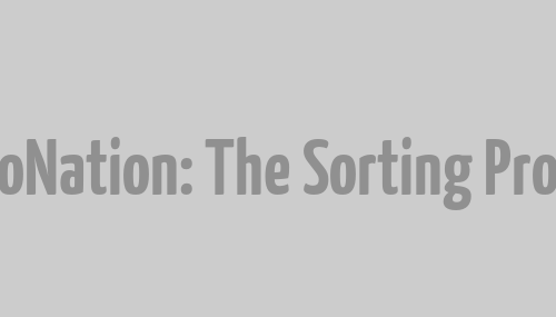 CorpoNation: The Sorting Process