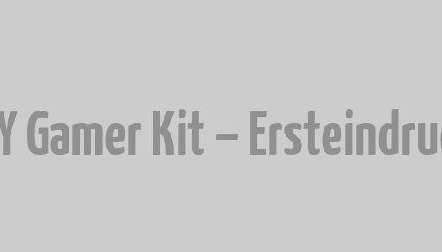 DIY Gamer Kit – Ersteindruck