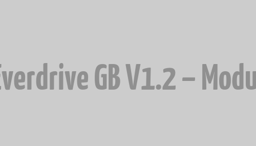 Everdrive GB V1.2 – Modul