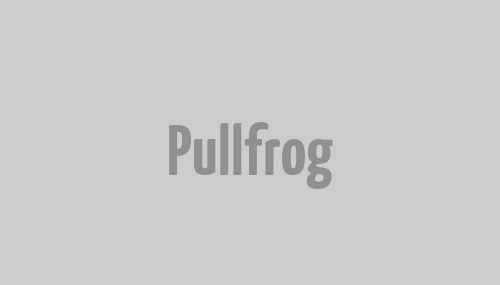 Pullfrog