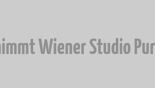 THQ Nordic übernimmt Wiener Studio Purple Lamp Studios