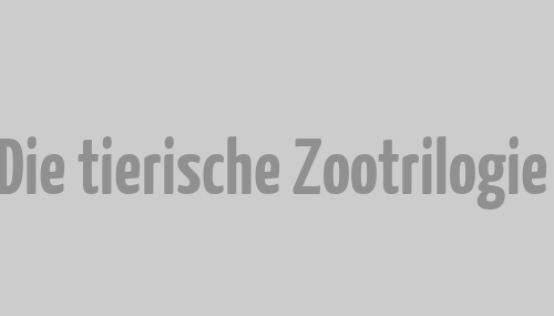 Wildlife Park: Die tierische Zootrilogie veröffentlicht