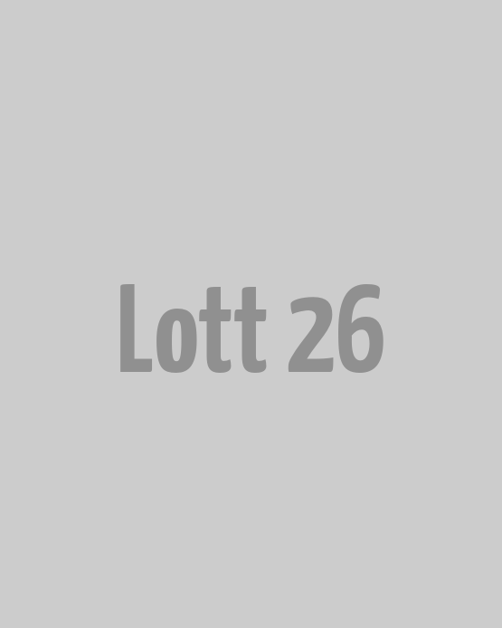 Lott 26