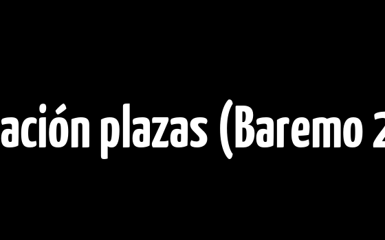 Asignación plazas (Baremo 2025)