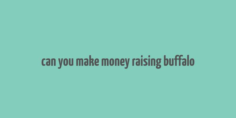 can you make money raising buffalo