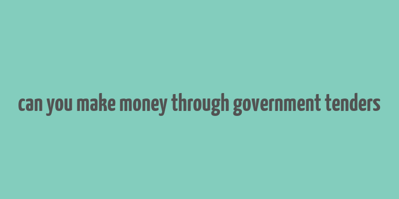 can you make money through government tenders