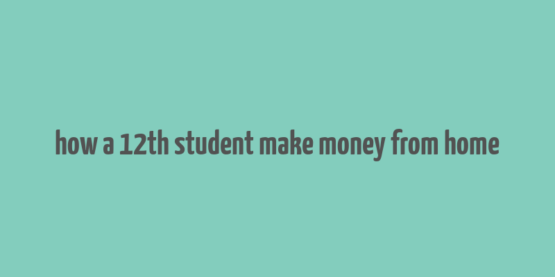 how a 12th student make money from home